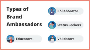 Types of Brand Ambassadors: Collaborators, Status Seekers, Validators, Educators.
